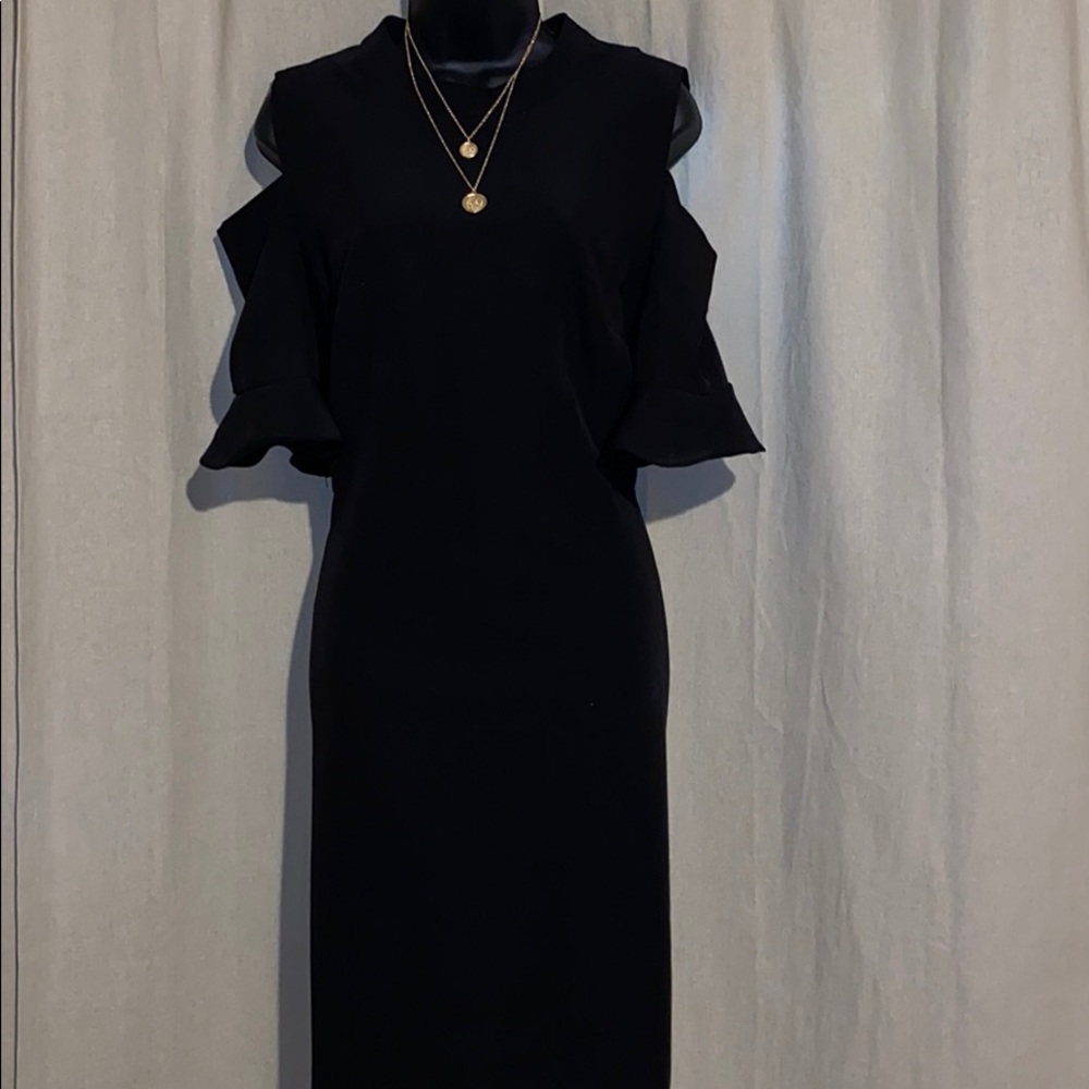 Sharagano back dress